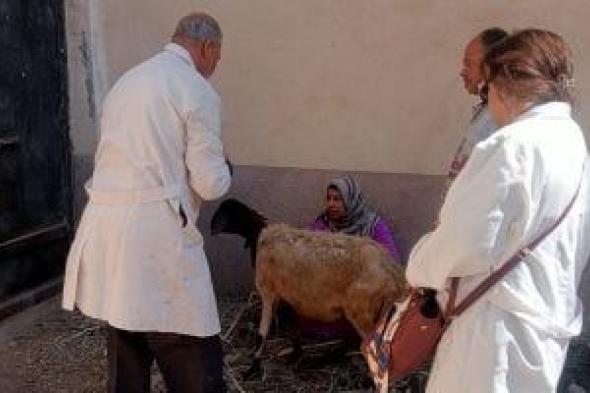 تحصين
111
ألفا
و270
رأس
ماشية
ضد
الحمى
القلاعية
والوادى
المتصدع
بالفيوم