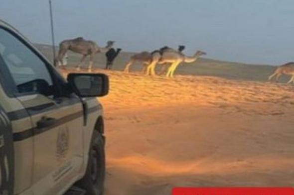ضبط
    مواطن
    لارتكابه
    مخالفة
    رعي
    في
    محمية
    الإمام
    عبدالعزيز
    بن
    محمد
    الملكية