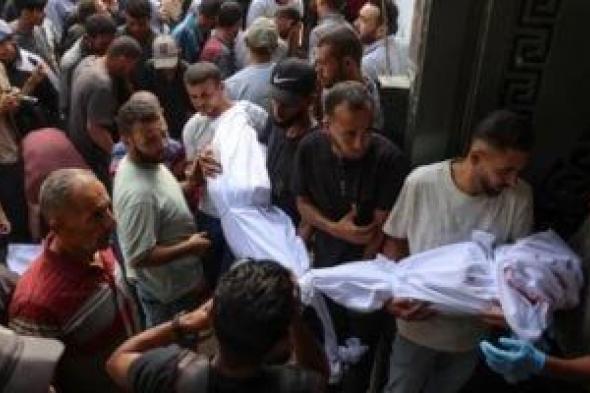 باميه:
قتلى
أطفال
غزة
فى
4
أشهر
يفوق
ضحايا
نزاعات
أخر
أربع
سنوات