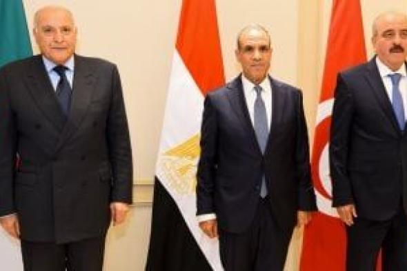مصر
والجزائر
وتونس
تدفع
نحو
انتخابات
ليبية
عاجلة..
وتحذير
من
الانقسام