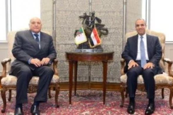 تحرك مصرى جزائرى عاجل بشأن ليبيا.. دعم للانتخابات ورفض التدخلات الخارجية