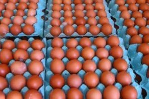 طرح
كميات
كبيرة
من
البيض
والدواجن
بالأسواق..
صور