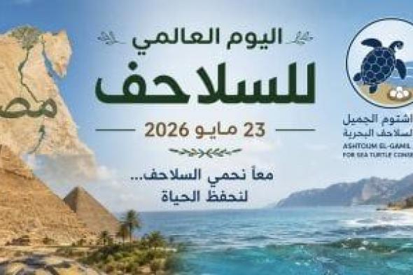 فى
اليوم
العالمى
للسلاحف..
أول
رحلة
إطلاق
من
"أشتوم
الجميل"
ببور
سعيد
لـ"العميد"
بمطروح
