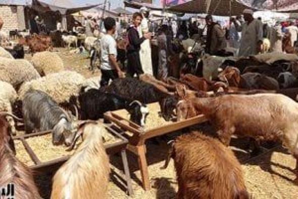 دار
الإفتاء:
الاجتماع
على
طعام
الأضحية
يقوي
الروابط
الأسرية
ويعزز
الشكر
لله