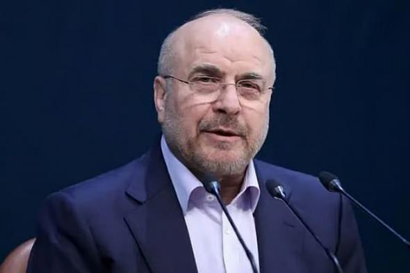 البرلمان
الإيراني
يجدد
الثقة
بمحمد
باقر
قاليباف