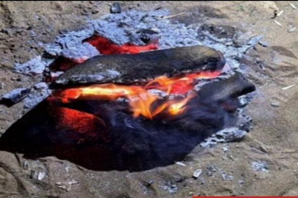 ضبط
مواطن
لإشعاله
النار
في
غير
الأماكن
المخصصة
لها
في
محمية
الإمام
فيصل
بن
تركي
الملكية