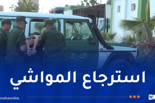 سطيف..
توقيف
4
أشخاص
وإحباط
عملية
سرقة
مواشي