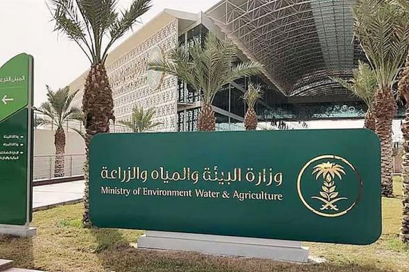 «بيئة
جازان»
يكثّف
الرقابة
الميدانية
خلال
موسم
الأضحى
بـ387
جولة
رقابية