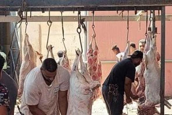 طوال
العيد..
فتح
المجازر
الحكومية
بالقاهرة
مجانا
لاستقبال
أضاحي
المواطنين