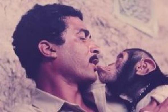 بعد
39
عاما..
كيف
تعامل
أحمد
زكي
مع
الحيوانات
فى
فيلم
أربعة
فى
مهمة
رسمية؟