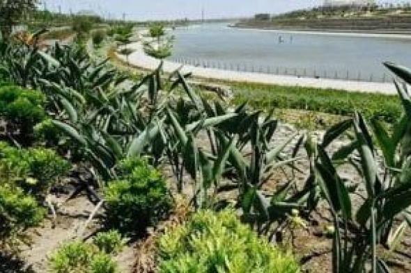 «الصحة»
تقدم
خدمات
التوعية
لـ30
ألف
مواطن
وتشارك
في
التأمين
الطبي
لفعاليات
«النهر
الأخضر»
بالعاصمة
الجديدة