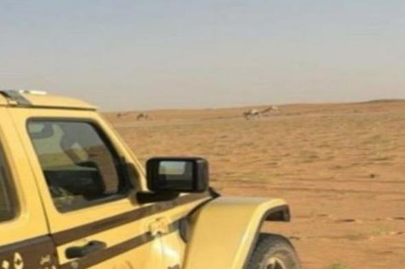 ضبط
    مواطن
    لارتكابه
    مخالفة
    رعي
    بمحمية
    الإمام
    عبدالعزيز
    الملكية