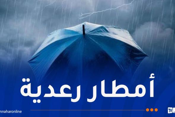 أمطار
رعدية
غزيرة
غدا
الاثنين