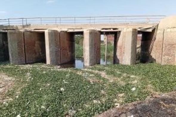 أهالى
العياط
يطالبون
محافظتى
الجيزة
وبنى
سويف
بسرعة
التدخل
لاحتواء
تلوث
مصرف
اللبينى