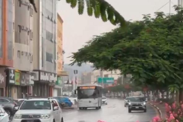 لقطات
لهطول
أمطار
الخير
على
الطائف
ومراكزها
الجنوبية