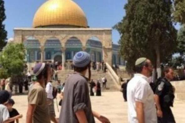 الاحتلال يروِّج للتطوع في وحدة اقتحام الأقصى