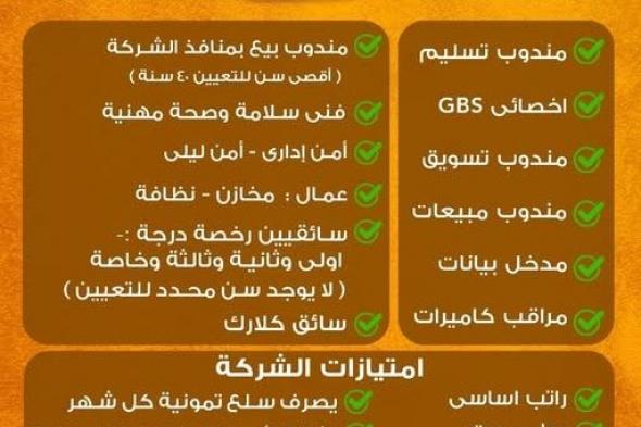 وظائف
    خالية
    بشركة
    فينوس
    عدد
    13
    وظيفة