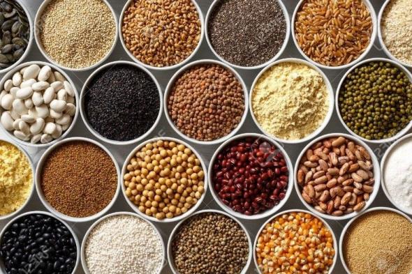 رسميا..
هذه
هي
البذور
والشتائل
المرخص
بإنتاجها
وتسويقها
في
الجزائر
