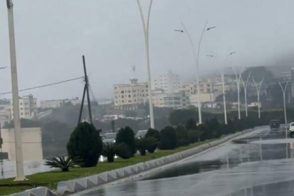 أمطار
ورياح
نشطة
على
منطقة
الباحة