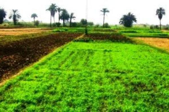 الصيف
يعلن
سيطرته..
مركز
المناخ
يصدر
دليلا
عاجلا
لحماية
المحاصيل
من
الشمس