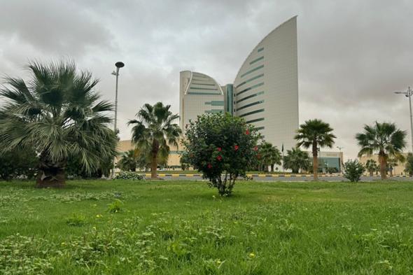جامعة
نجران
تطلق
خطة
تشجير
لزراعة
170
ألف
شجرة
خلال
عام
2026