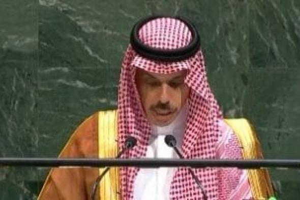 السعودية
وقطر
تبحثان
مستجدات
الأوضاع
فى
المنطقة