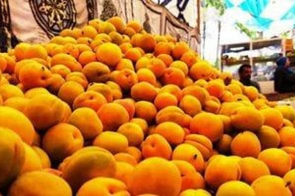 بين
سحر
الموسم
وعبارة
"فى
المشمش"..
قصة
فاكهة
خاطفة
تزين
الأسواق