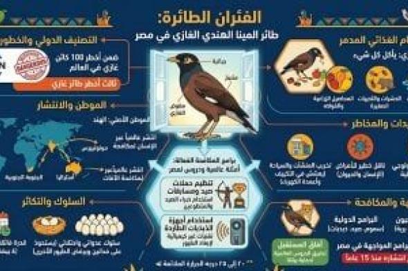 4
مخاطر
لطائر
المينا
الهندي
«الفئران
الطائرة»
فى
مصر..
إنفوجراف