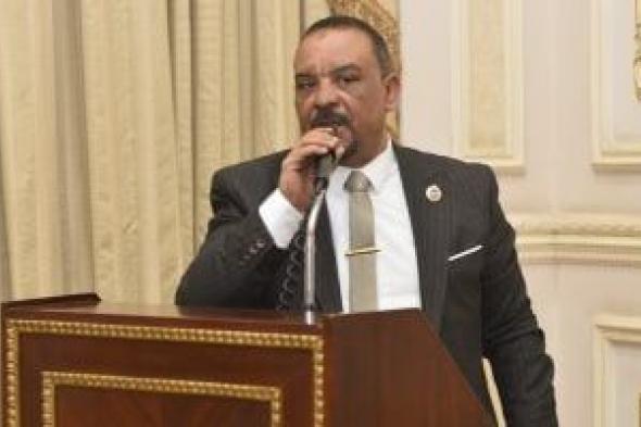 عضو
مجلس
الشيوخ:
التشاور
المصري
الإماراتي
يمثل
صمام
أمان
للاستقرار
العربي