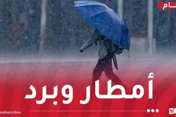 تتعدى
40
ملم..
أمطار
رعدية
مرفوقة
ببرد
عبر
هذه
الولايات