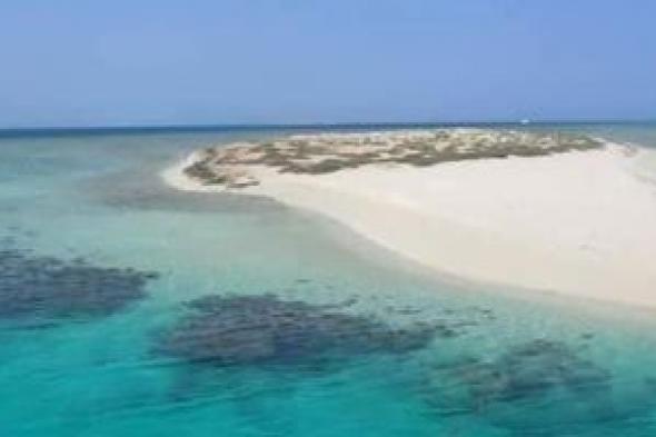 جزيرة
شواريت
جوهرة
البحر
الأحمر
..
درة
طبيعية
تتلألأ
جنوب
مرسى
علم