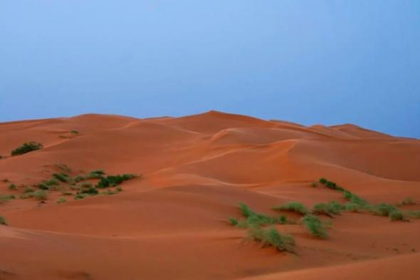 «النفود
    الكبير»..
    لوحة
    رملية
    ساحرة
    ترسم
    مشهدًا
    طبيعيًّا
    جنوب
    رفحاء