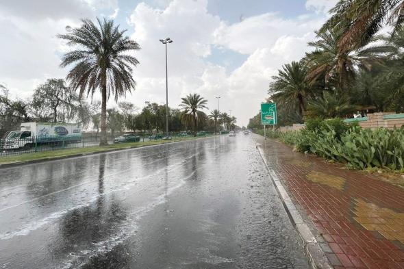 أمطار
ورياح
نشطة
على
منطقة
الباحة
حتى
المساء 