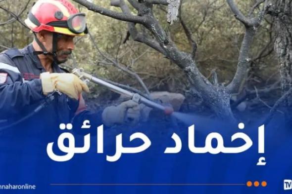 تسجيل
83
حريق
عبر
39
ولاية
خلال
يوم
واحد!