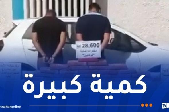 الأغواط..
حجز
قرابة
29
كلغ
"كوكايين"