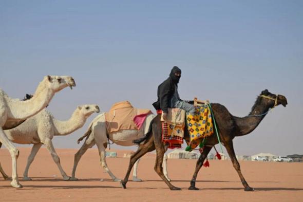 «تطبيع
    الإبل»..
    مهارة
    تراثية
    توارثها
    أهل
    البادية
    لترويض
    سفينة
    الصحراء