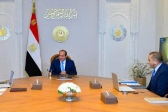اجتماع الرئيس السيسى مع رئيسى هيئة القناة وشركة ترسانة جنوب البحر الأحمر.. فيديو