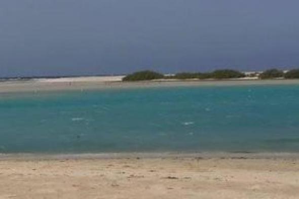 تعرف
على
أهم
المعالم
البيئة
فى
مدينة
مرسى
علم
جنوب
البحر
الأحمر..
صور