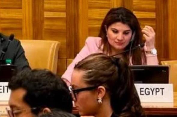 الأمم المتحدة تعتمد قراراً مصرياً بخصوص حماية العاملين في المجال الإنساني