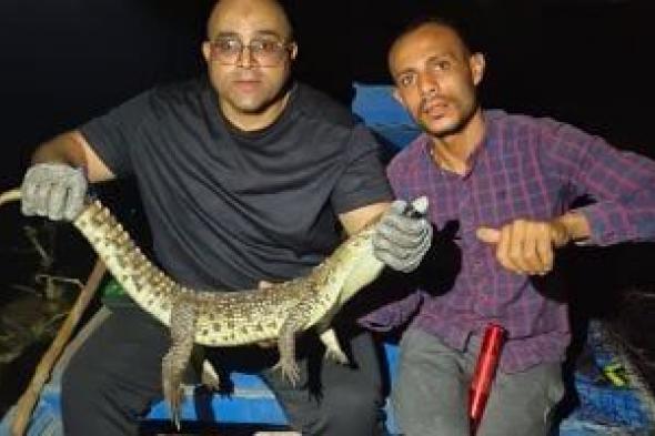 3
حاجات
لا
تفعلها
إذا
واجهت
تمساحاً
أو
"ورلاً
نيلياً"
في
مجرى
مائي