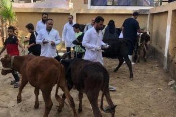 "بيطري
الفيوم":
تحصين
49657
رأس
ماشية
ضد
مرض
الحمى
القلاعية