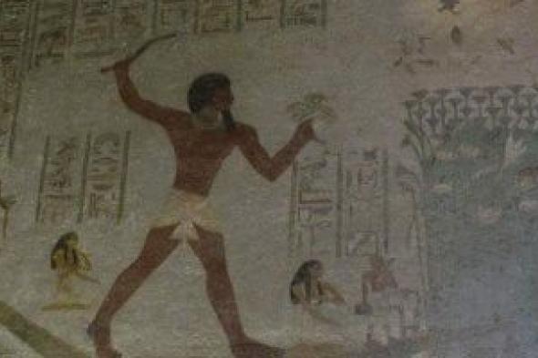 مقبرة
أمنمحات
بالمنيا..
تحكى
مظاهر
الحياة
اليومية
بمصر
فى
عصر
الدولة
الوسطى