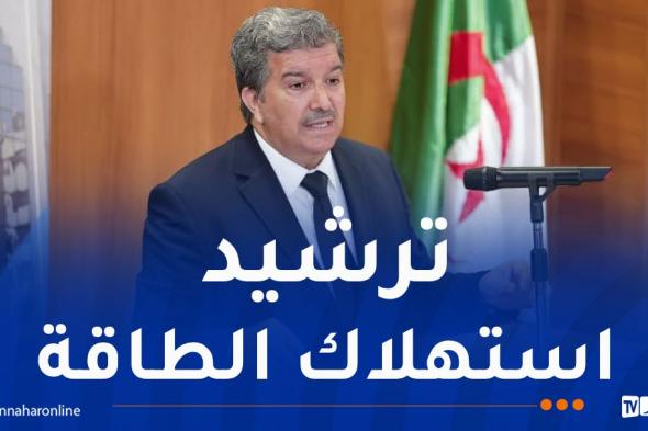 وزير
الاتصال:
وسائل
الإعلام
تضطلع
بدور
كبير
في
ترقية
مبادئ
النجاعة
الطاقوية