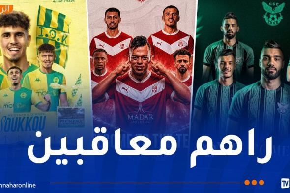 يتقدمها
شباب
بلوزداد..
7
أندية
محترفة
ممنوعة
من
الاستقدامات!