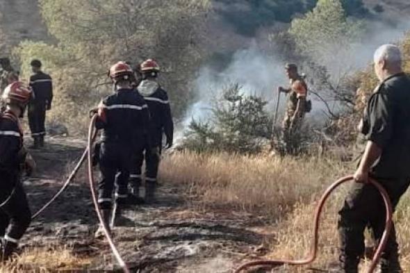 ڨالمة..
قتيل
وجريحان
في
حرائق
أدغال
وأحراش
وغابات
