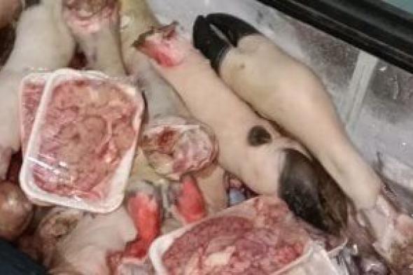 ضبط
طن
وربع
لحوم
فاسدة
قبل
طرحها
بالأسواق
في
سوهاج..
صور