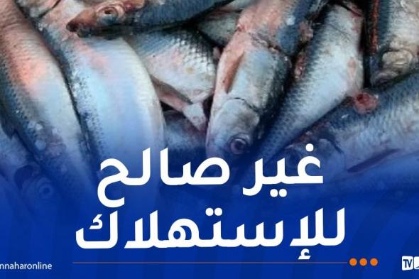 بجاية:
حجز
أزيد
من
1000
كلغ
سردين
فاسد
كانت
موجهة
للاستهلاك