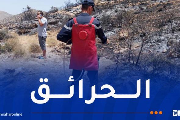 إندلاع
21
حريقًا
عبر
عدة
ولايات
