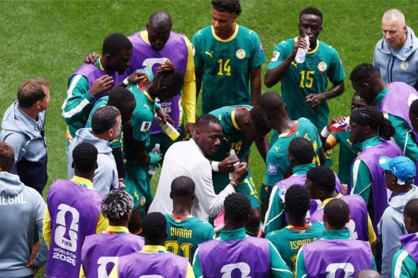 فضيحة
      مدوية..
      السنغال
      تكتشف
      خديعة
      “طبيب
      نساء”
      بعد
      10
      سنوات