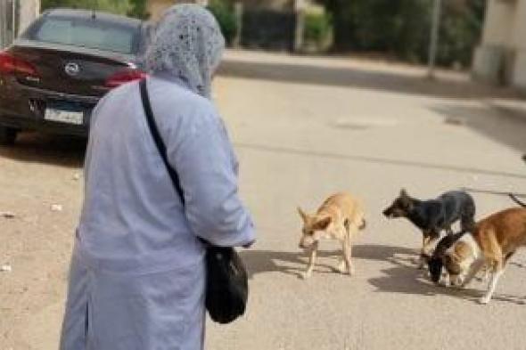 ضوابط
وضعها
قانون
حيازة
الحيوانات
للترخيص
والقيد
بالسجل